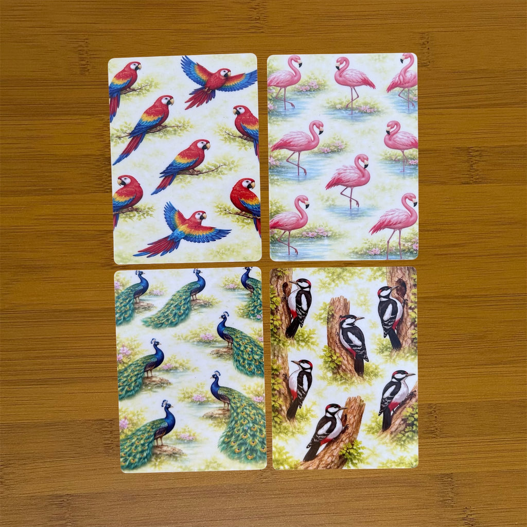 Flashcards ( Birds )