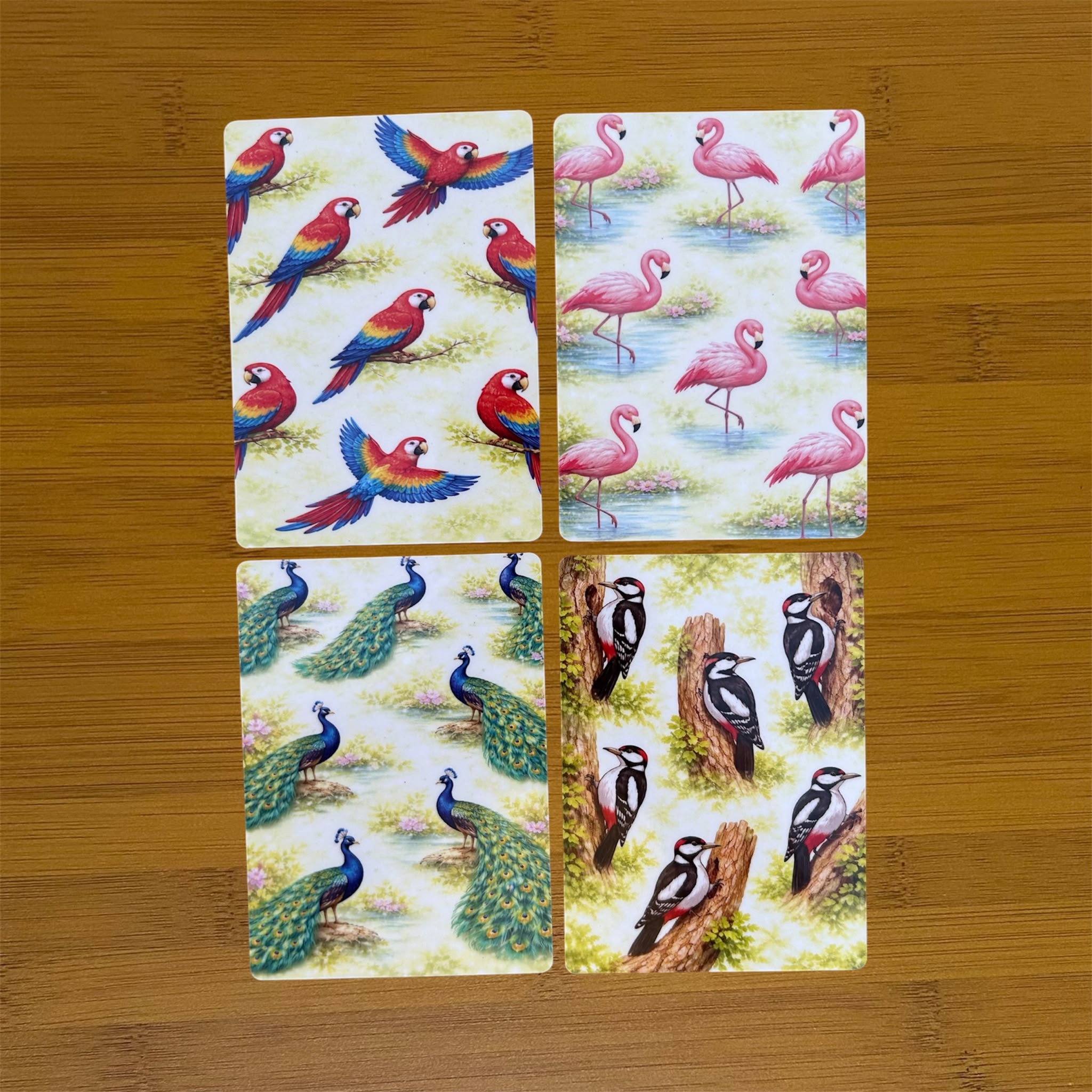 Flashcards ( Birds )
