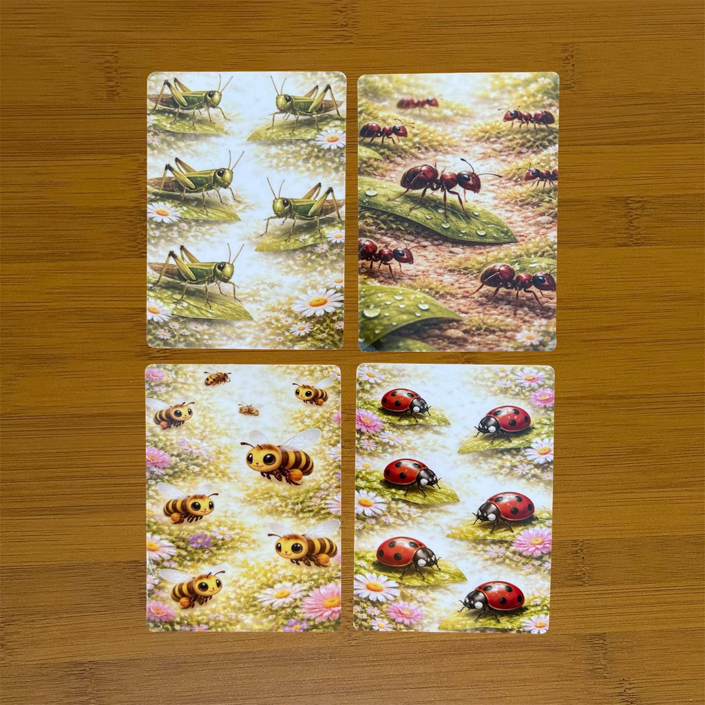 Flashcards ( Insects )