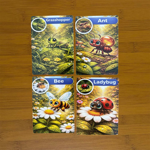 Flashcards ( Insects )